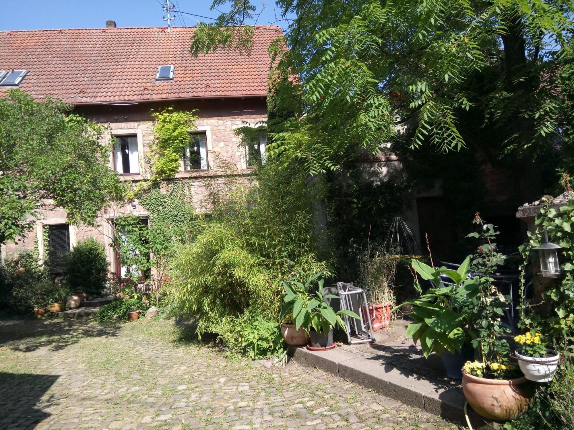 "El Patio" Am Donnersberg Διαμέρισμα Dannenfels Εξωτερικό φωτογραφία